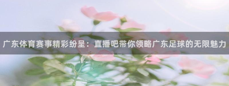 小九直播nba免费观看高清：广东体育赛事精彩纷呈：直播吧带你领略广东足球的无限魅力