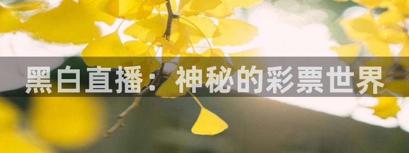 小九今天最新视频：黑白直播：神秘的彩票世界