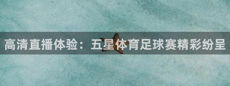 nba赛程直播在线观看视频小九：高清直播体验：五星体育足球赛精彩纷呈