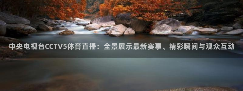 nba免费直播在线直播小九：中央电视台CCTV5体育直播：全景展示最新赛事、精彩瞬间与观众互动