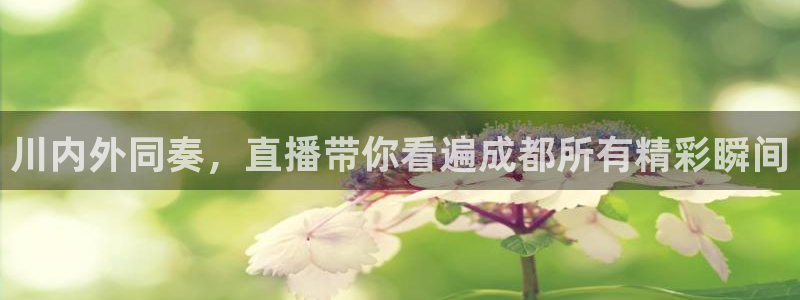 小九足球直播：川内外同奏，直播带你看遍成都所有精彩瞬间