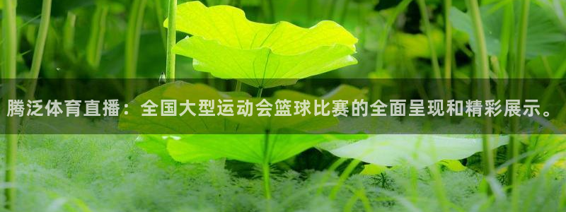 小九今天最新视频：腾泛体育直播：全国大型运动会篮球比赛的全面呈现和精彩展示。