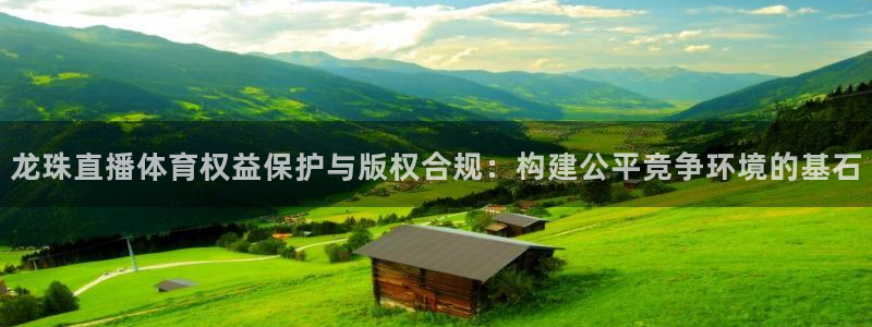 nba赛程直播在线观看视频小九：龙珠直播体育权益保护与版权合规：构建公平竞争环境的基石