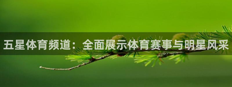 小九直播nba免费观看：五星体育频道：全面展示体育赛事与明星风采