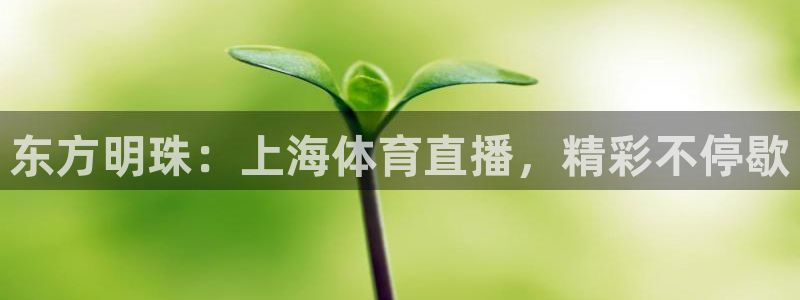 小九视频：东方明珠：上海体育直播，精彩不停歇