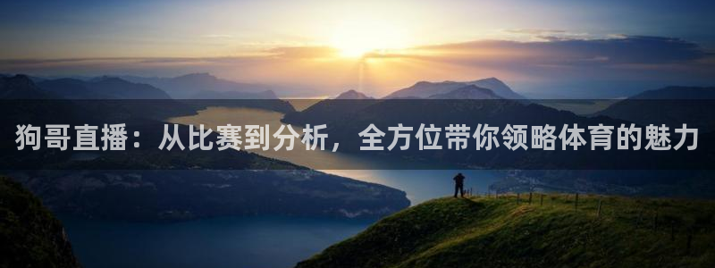 nba小九直播免费观看：狗哥直播：从比赛到分析，全方位带你领略体育的魅力