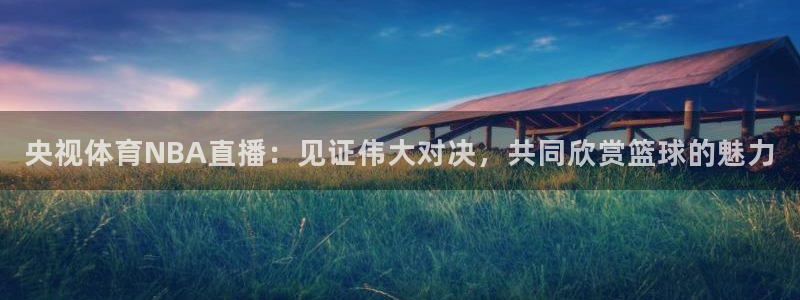 小九体育免费看球直播：央视体育NBA直播：见证伟大对决，共同欣赏篮球的魅力